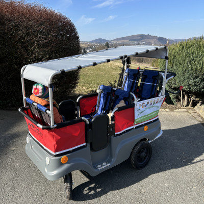 Zwergentaxi